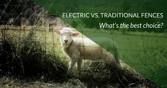 Electric Fence vs Traditional fence: what's the best choice for small farms?